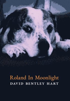 bokomslag Roland in Moonlight