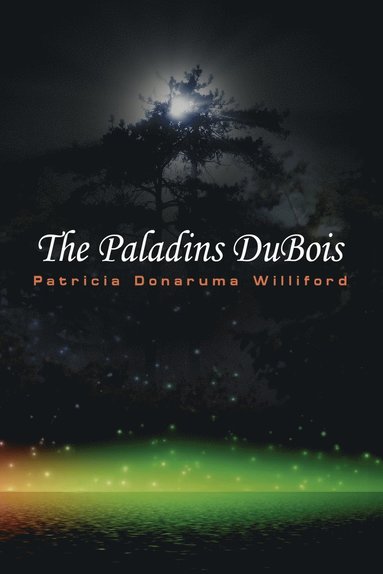 bokomslag The Paladins DuBois