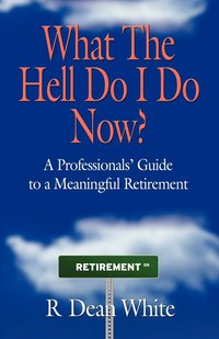 bokomslag WHAT THE HELL DO I DO NOW? A Professionals' Guide to a Meaningful Retirement