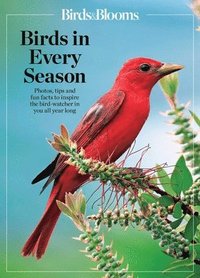 bokomslag Birds & Blooms Birds in Every Season