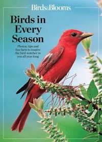 bokomslag Birds & Blooms Birds in Every Season: Cherish the Feathered Flyers in Your Yard All Year Long