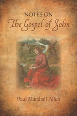 Paul Marshall Allen - Notes on the Gospel of John, Häftad