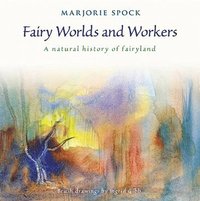 bokomslag Fairy Worlds and Workers