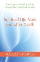 Rudolf Steiner, William Michael Jensen - Spiritual Life Now and After Death, Häftad