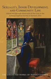 bokomslag Sexuality, Inner Development, and Community Life