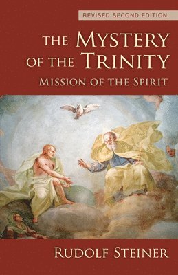 bokomslag The Mystery of the Trinity