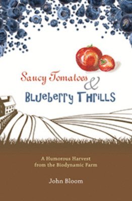 John Bloom - Saucy Tomatoes & Blueberry Thrills, Häftad
