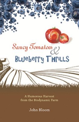 Saucy Tomatoes & Blueberry Thrills 1