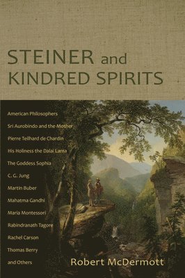 Robert A McDermott, Robert A. McDermott - Steiner and Kindred Spirits, Häftad