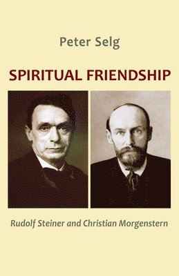 bokomslag Spiritual Friendship