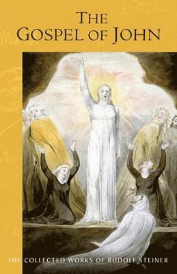Rudolf Steiner, Frederick Amrine - Gospel of John, Häftad