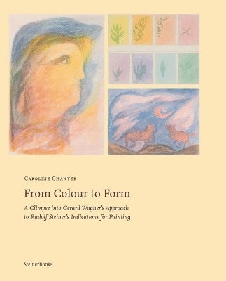 Caroline Chanter - From Colour to Form, Häftad