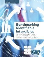 bokomslag Benchmarking Identifiable Intangibles and Their Useful Lives in Business Combinations, Second Edition
