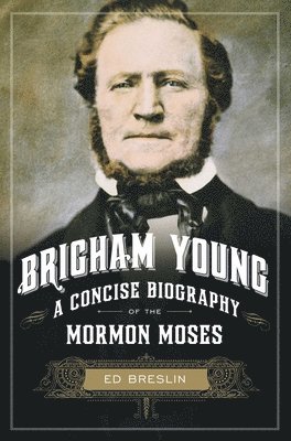 bokomslag Brigham Young