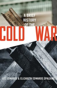 bokomslag A Brief History of the Cold War