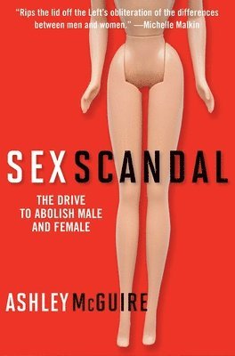 bokomslag Sex Scandal