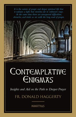 Contemplative Enigmas