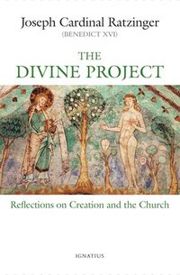 bokomslag The Divine Project: Reflections on Creation and the Church