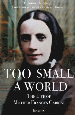 bokomslag Too Small a World