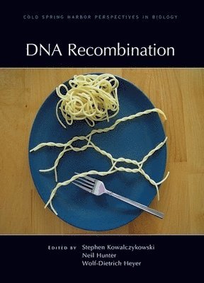 bokomslag DNA Recombination