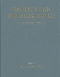 bokomslag Molecular Neuroscience: A Laboratory Manual