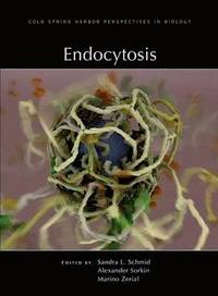 bokomslag Endocytosis