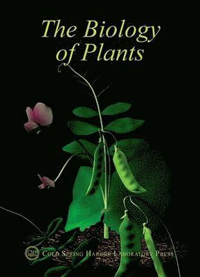 bokomslag Biology of Plants