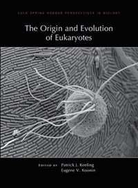 bokomslag The Origin and Evolution of Eukaryotes