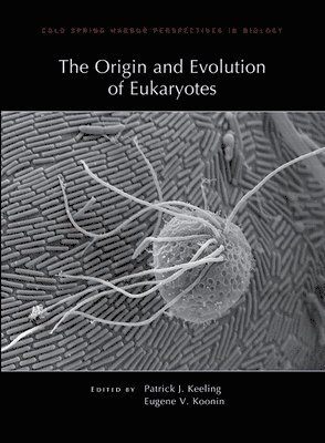 bokomslag The Origin and Evolution of Eukaryotes