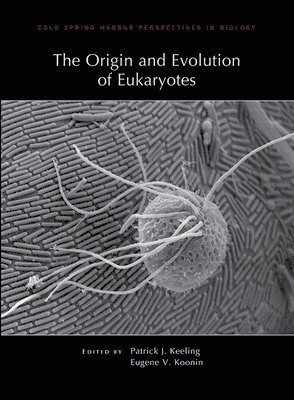 Origin and Evolution of Eukaryotes