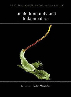 bokomslag Innate Immunity and Inflammation