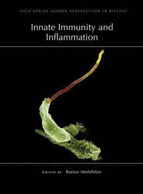 Ruslan Medzhitov, Ruslan Medzhitov - Innate Immunity and Inflammation, Inbunden