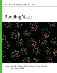 bokomslag Budding Yeast