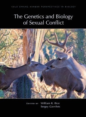 Sergey Gavrilets, William Rice, Sergey Gavrilets, William Rice - Genetics and Biology of Sexual Conflict, Inbunden