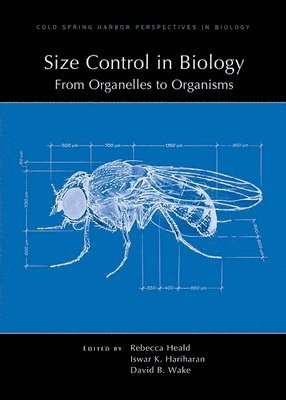 David Wake, Rebecca Heald, Iswar Hariharan - Size Control in Biology: From Organelles to Organisms, Inbunden