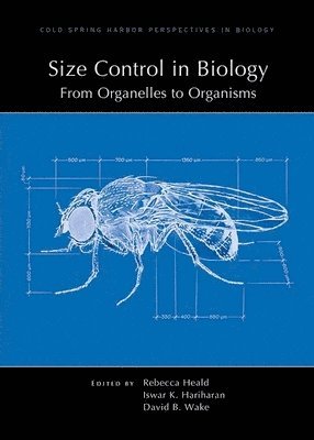bokomslag Size Control in Biology: From Organelles to Organisms