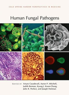 Arturo Casadevall, Aaron P Mitchell, Judith Berman, Kyung J Kwon-Chung, Arturo Casadevall, Aaron P Mitchell, Judith Berman, Kyung J Kwon-Chung, John R Perfect, Joseph Heitman - Human Fungal Pathogens, Inbunden