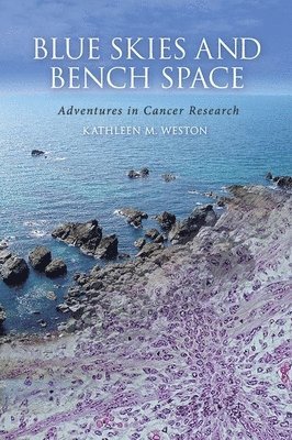 Kathleen M Weston, Kathleen M. Weston - Blue Skies and Bench Space, Inbunden