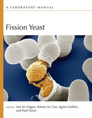 Iain Hagan, Antony M Carr, Agnes Grallert, Paul Nurse, Iain Hagan, Antony M Carr, Agnes Grallert, Paul Nurse, Antony M. Carr - Fission Yeast: A Laboratory Manual, Inbunden
