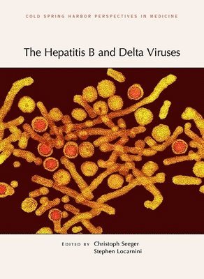 bokomslag Hepatitis B and Delta Viruses