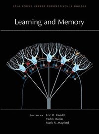 bokomslag Learning and Memory