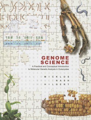 bokomslag Genome Science: A Practical and Conceptual Introduction to Molecular Genetic Analysis in Eukaryotes