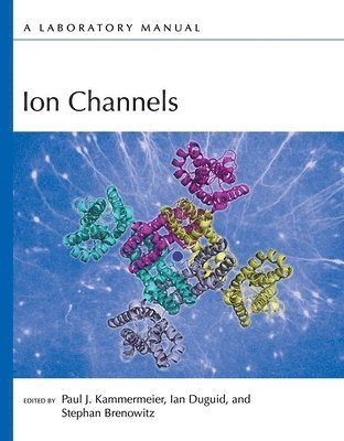 Paul J Kammermeier, Ian Duguid, Stephan Brenowitz, Paul J Kammermeier, Ian Duguid, Stephan Brenowitz, Paul J. Kammermeier - Ion Channels: A Laboratory Manual, Häftad