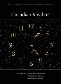 bokomslag Circadian Rhythms