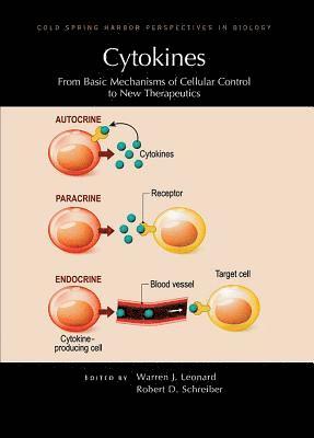 bokomslag Cytokines: From Basic Mechanisms of Cellular Control to New Therapeutics