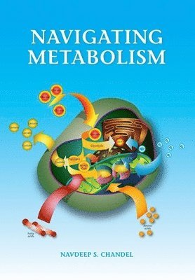 bokomslag Navigating Metabolism