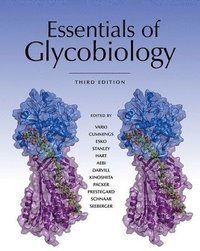 bokomslag Essentials of Glycobiology, Third Edition
