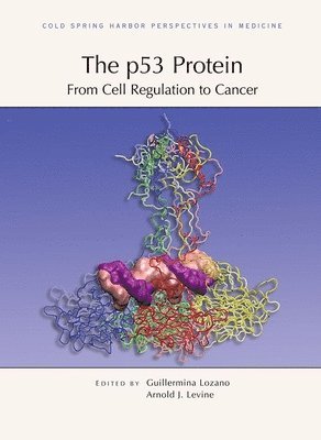 Arnold J Levine, Guillermina Lozano - P53 Protein: From Cell Regulation to Cancer, Inbunden