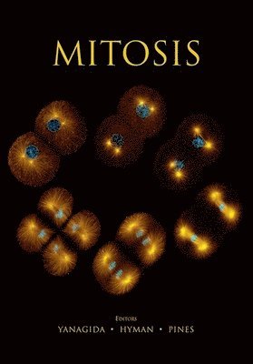 Jonathan Pines, Anthony Hyman, Jonathan Pines, Anthony Hyman, Mitsuhiro Yanagida - Mitosis, Häftad