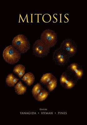 Mitosis 1